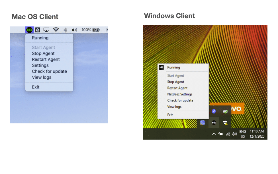 mac OS client vs windows client agents
