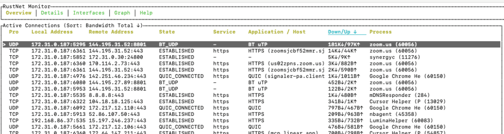 rustnet application layer